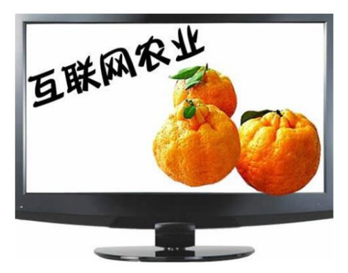 農(nóng)村互聯(lián)網(wǎng)農(nóng)業(yè)新聞(農(nóng)村互聯(lián)網(wǎng)農(nóng)業(yè)新聞稿件)