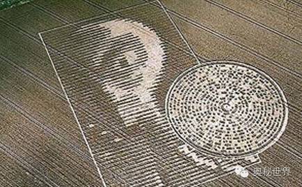 互聯網謎團最新消息(互聯網謎團最新消息是真的嗎)