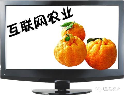 互聯(lián)網(wǎng)農(nóng)資圈的新聞(最新的關(guān)于農(nóng)業(yè)的新聞)