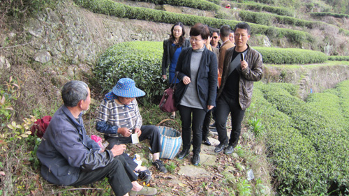 福鼎西陽建設新聞網站(福鼎西陽新村建設最新新聞)