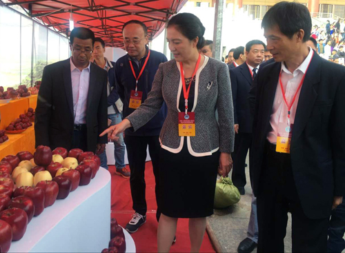 隴南西部工業互聯網新聞(隴南西部工業互聯網新聞最新消息)