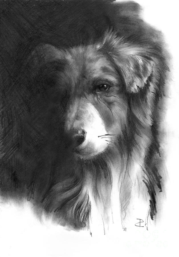 娛樂(lè)新聞網(wǎng)站建設(shè)論文范文(娛樂(lè)新聞網(wǎng)站建設(shè)論文范文大全)