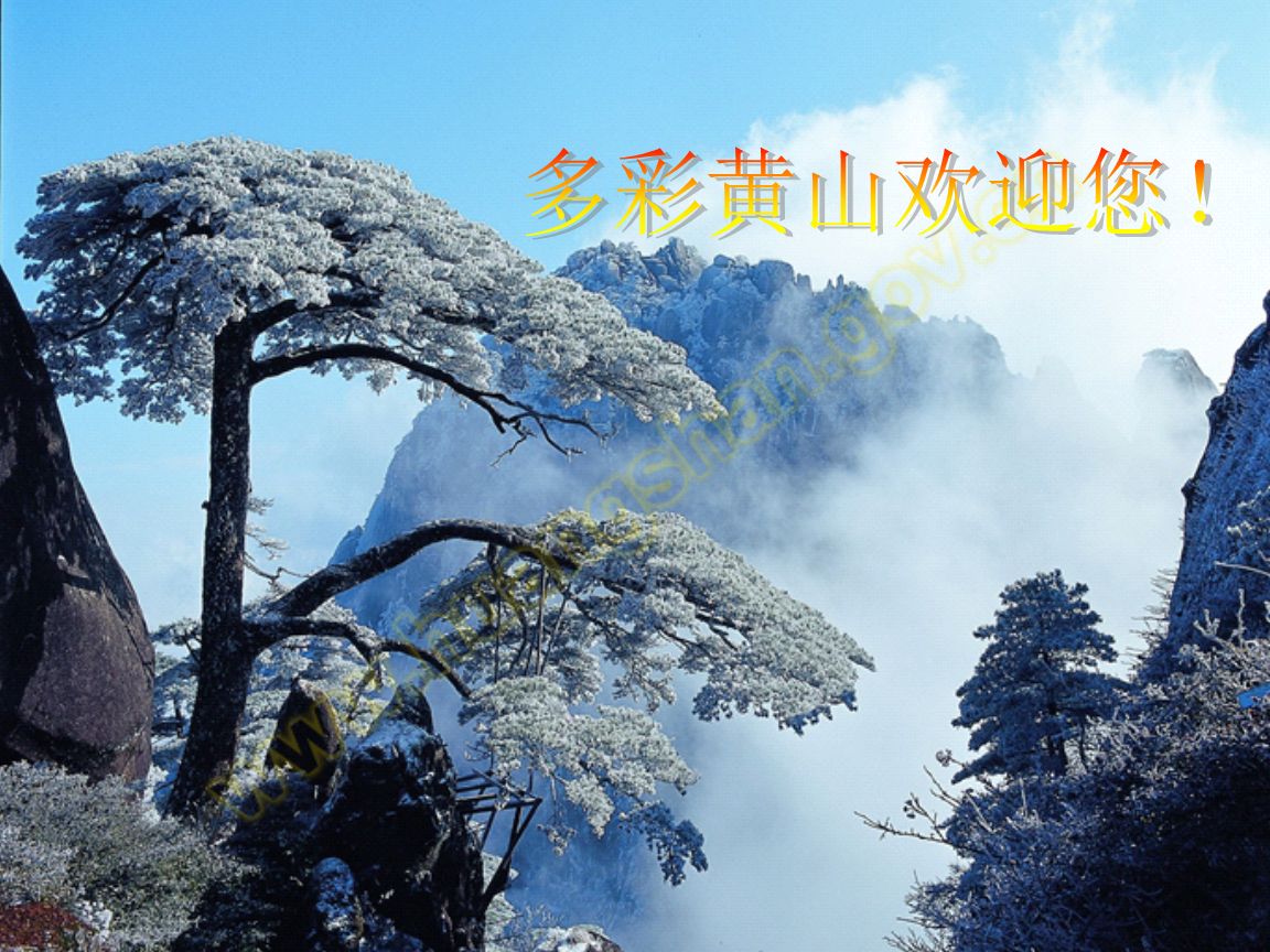 黃山網站建設咨詢(黃山市建設工程交易信息網)