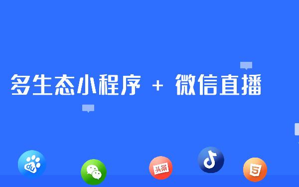 廈門省小程序開發(廈門省小程序開發公司)