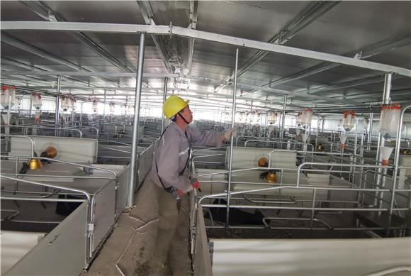 把豬場搬上互聯網的新聞(豬場是哪個互聯網公司的稱呼)