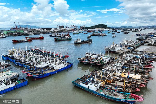 舟山互聯網最新消息(舟山網絡科技有限公司)