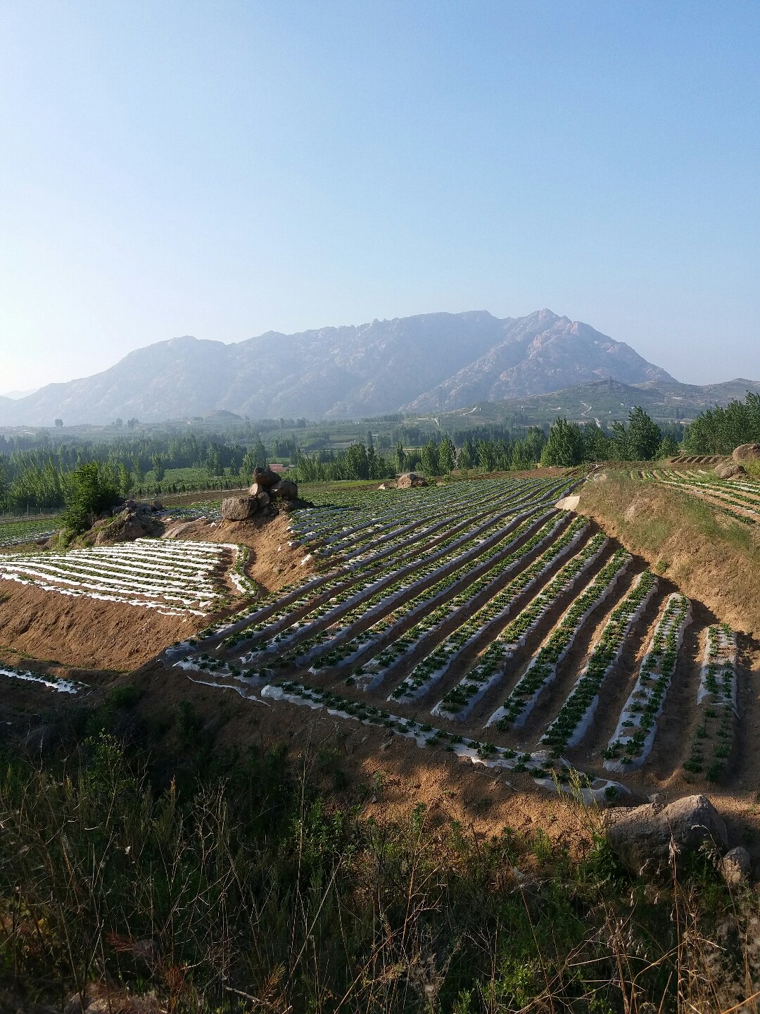 墨山互聯(lián)網(wǎng)最新消息新聞(墨山互聯(lián)網(wǎng)最新消息新聞網(wǎng))