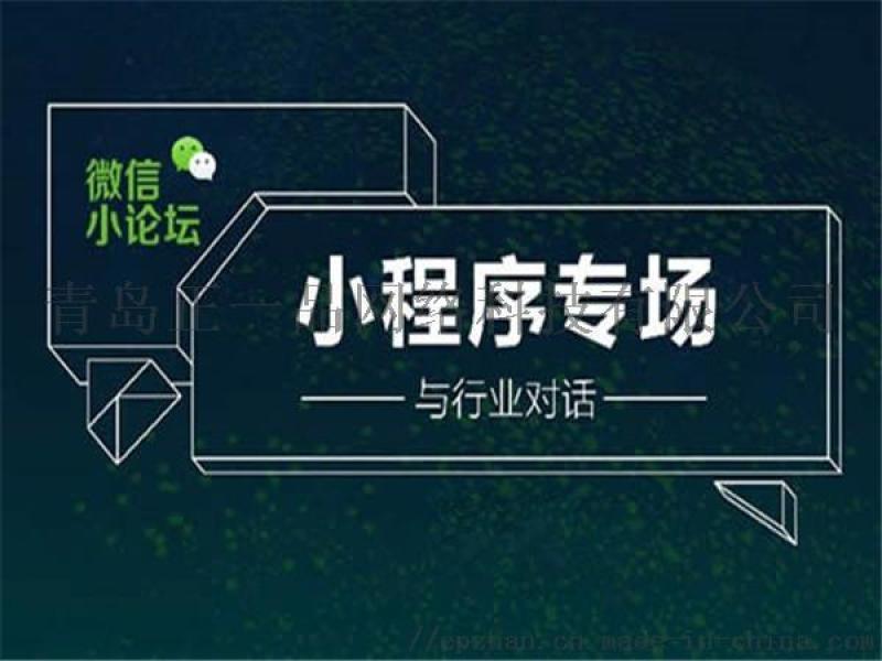 開發(fā)設(shè)計(jì)小程序(專業(yè)小程序開發(fā)公司設(shè)計(jì)方案)