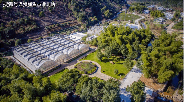 綠野網(wǎng)站建設(shè)(綠野戶外網(wǎng)官網(wǎng))