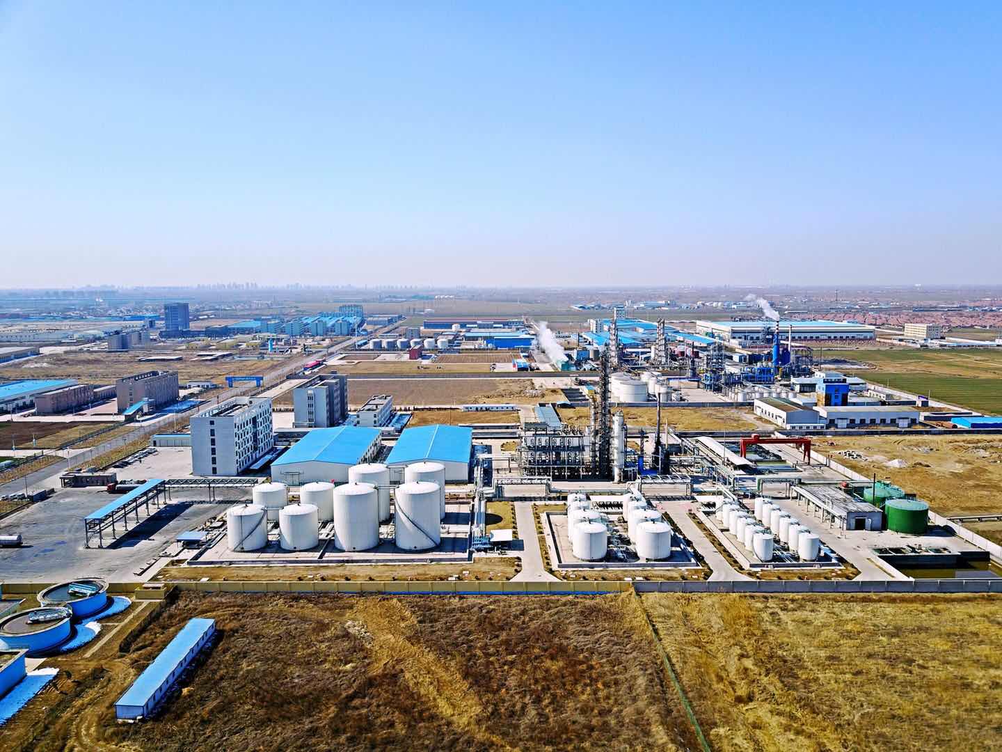 東營區互聯網新聞網招聘(東營市互聯網應急服務中心)