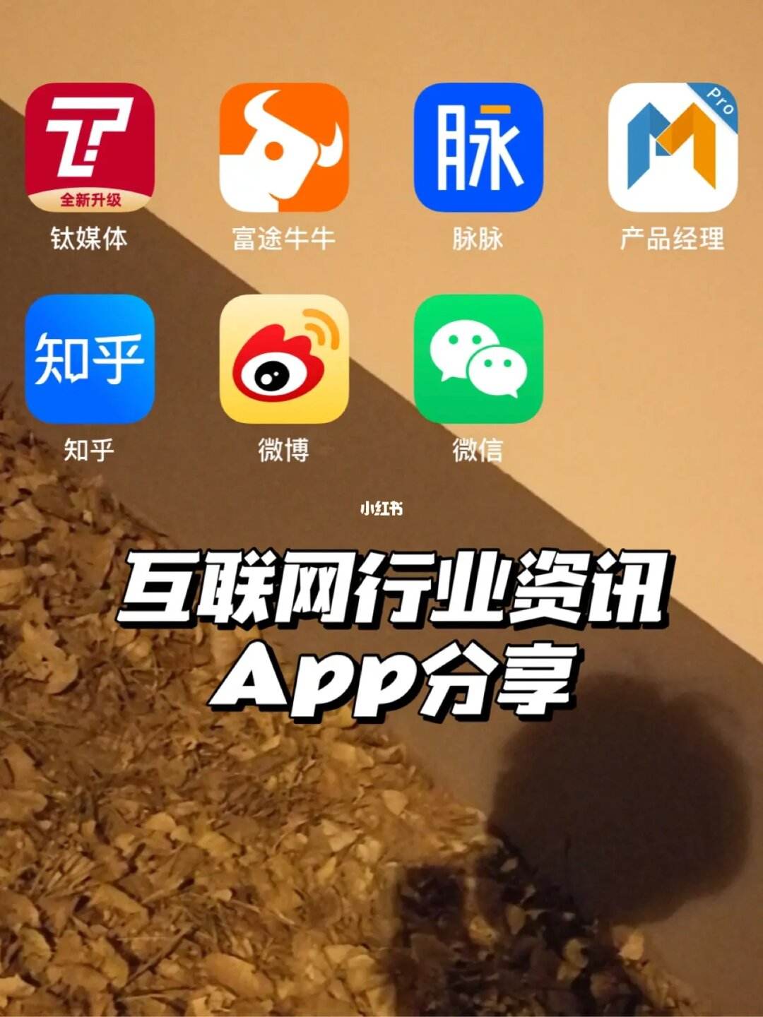 互聯網行業實時早報新聞(互聯網行業實時早報新聞網)