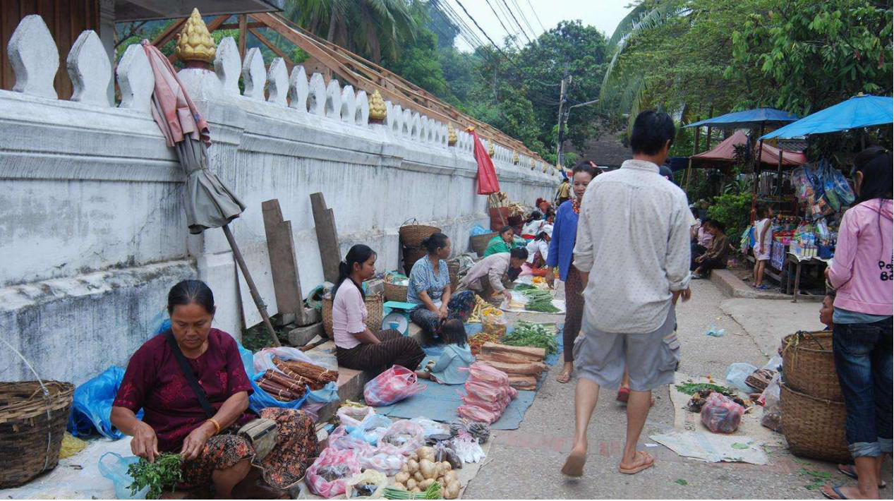 老撾農(nóng)村網(wǎng)站建設(shè)(老撾農(nóng)村網(wǎng)站建設(shè)項目)