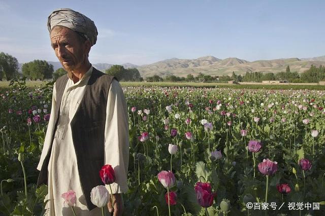 新聞學互聯網三大公害(互聯網國內傳統的三大新聞門戶網站)