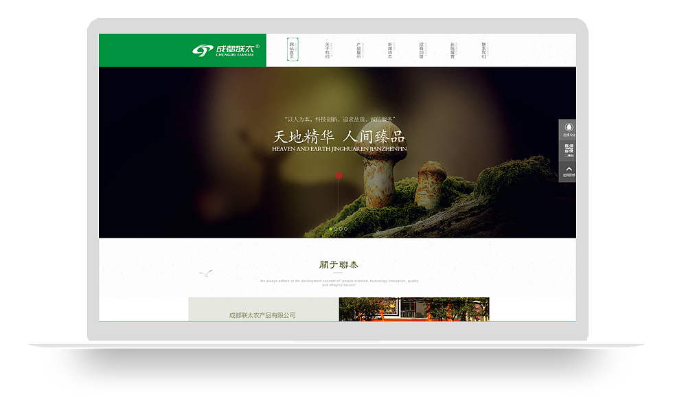 成都建設網站設計(成都網站建設方案策劃)